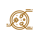 Brown line drawing of a petri dish with microorganisms inside and labeled sections, on a white circular background—ideal for illustrating Pet Diagnostics in Rockaway and Denville.