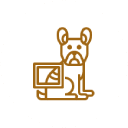 Line drawing of a dog with a square showing an x-ray of its back leg, illustrating Pet Diagnostics in Rockaway and Denville and the importance of veterinary care.