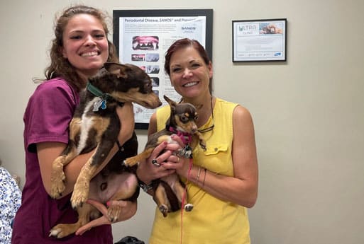 Two women smile while holding small dogs in a veterinary clinic. Veterinary posters and a certificate are visible on the wall behind them.