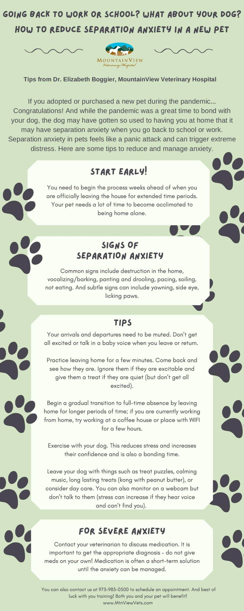 Infographic with tips from a veterinarian on reducing separation anxiety in pets when returning to work or school. It lists signs of anxiety, tips to help pets adjust, and encourages consulting a vet for severe cases. Pawprints decorate the background.