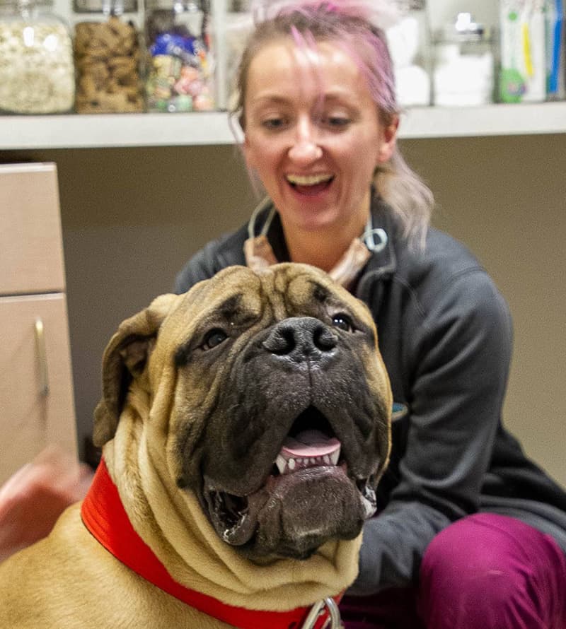 A large, tan dog with a red collar sits in the foreground, panting happily, while a smiling woman with light hair and a gray jacket sits behind the dog in what appears to be a veterinary office.