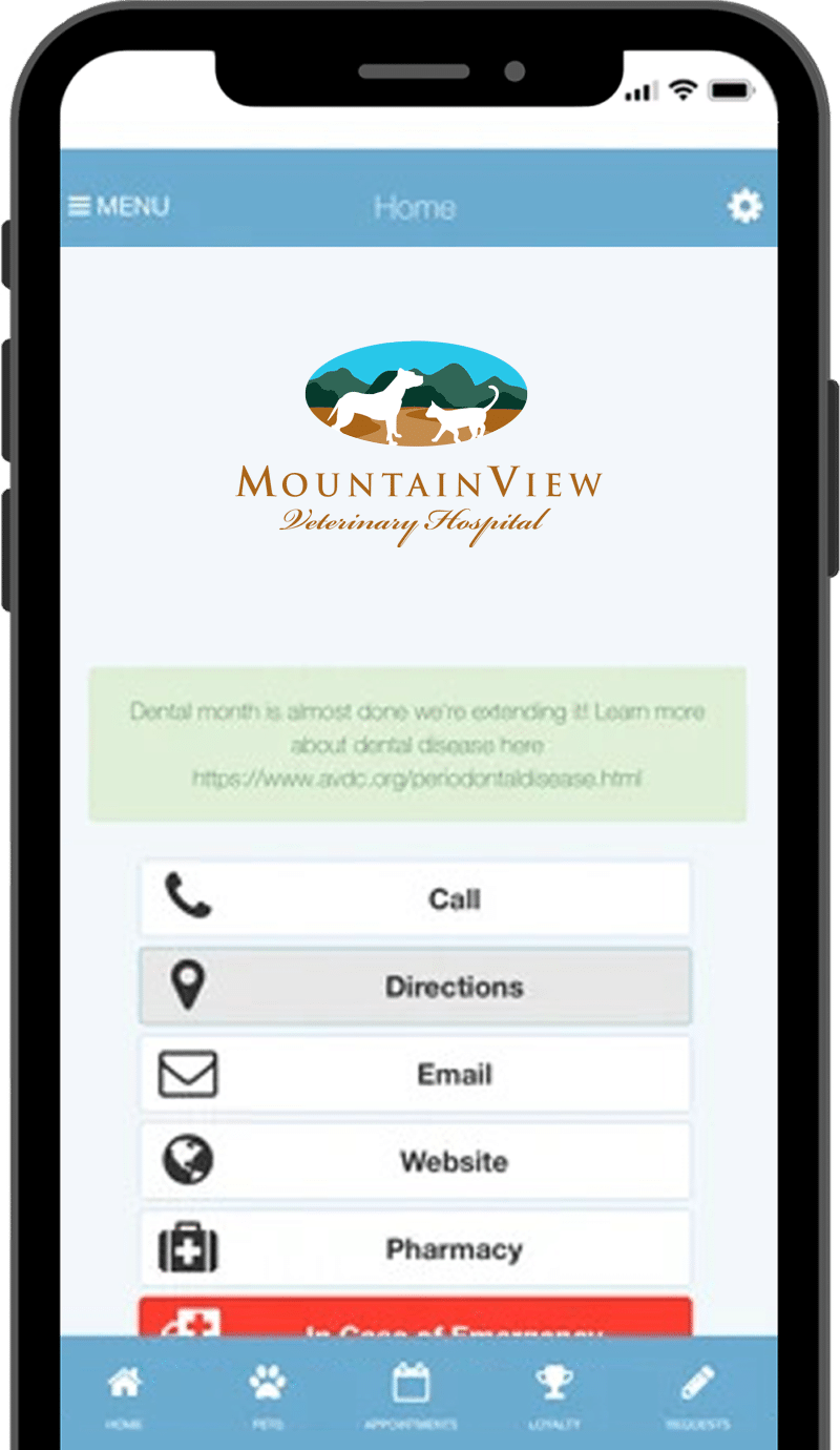 A smartphone screen displays the MountainView Veterinary Hospital app home page, featuring the logo, informational text about dental health, and buttons for call, directions, email, website, and pharmacy.