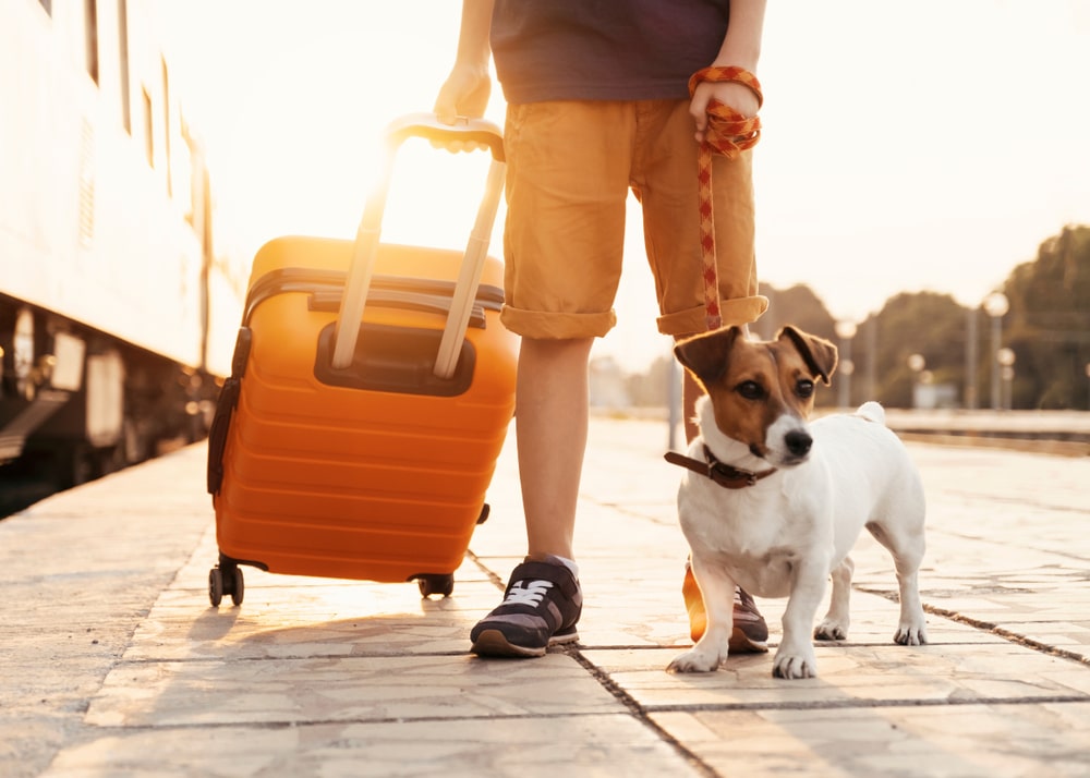 A person stands on a train platform holding an orange suitcase and a leash attached to a small Jack Russell Terrier. The sun is setting in the background, creating a warm, golden glow.