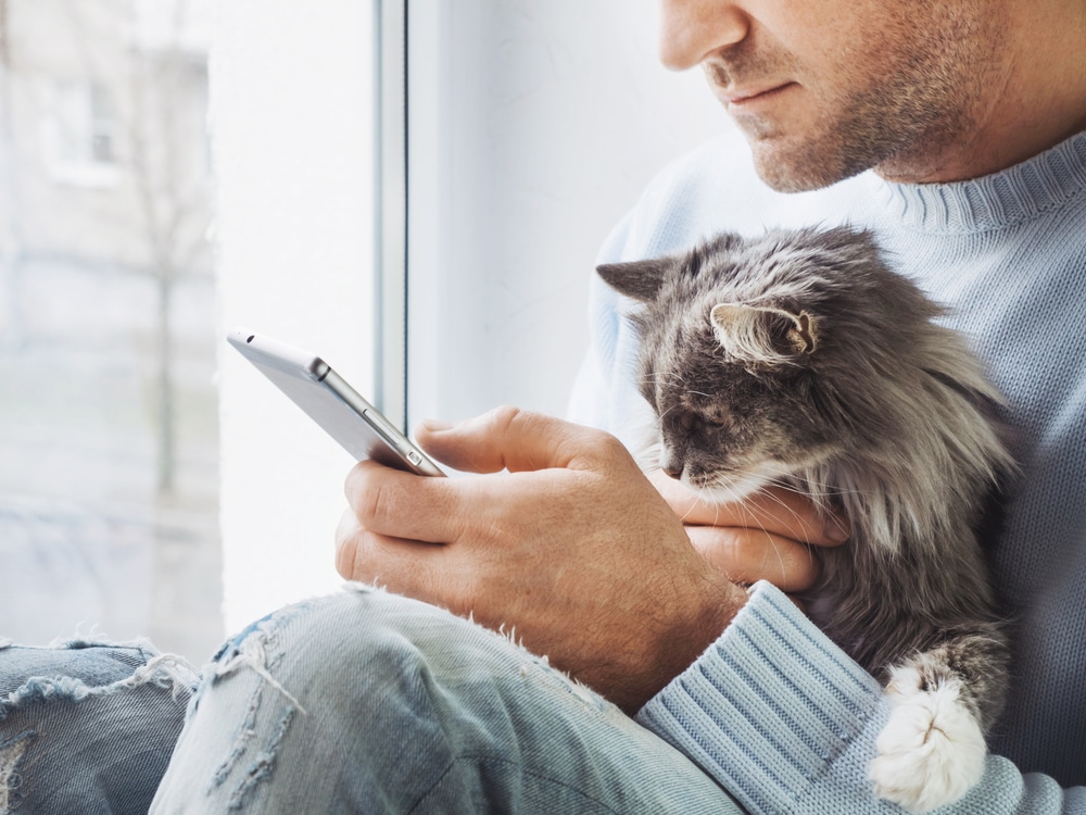 A man in a light blue sweater and ripped jeans sits by a window, holding a fluffy gray cat and looking at his smartphone. The cat also appears to be looking at the phone.