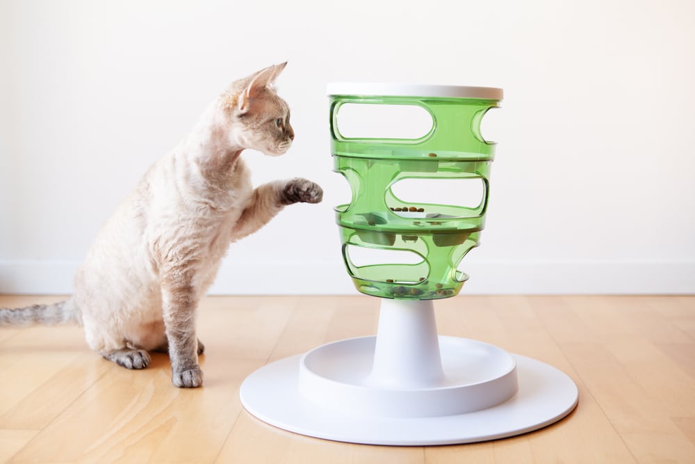 A light-colored cat uses its paw to reach food inside a green, multi-level interactive feeder toy on a wooden floor against a white wall.