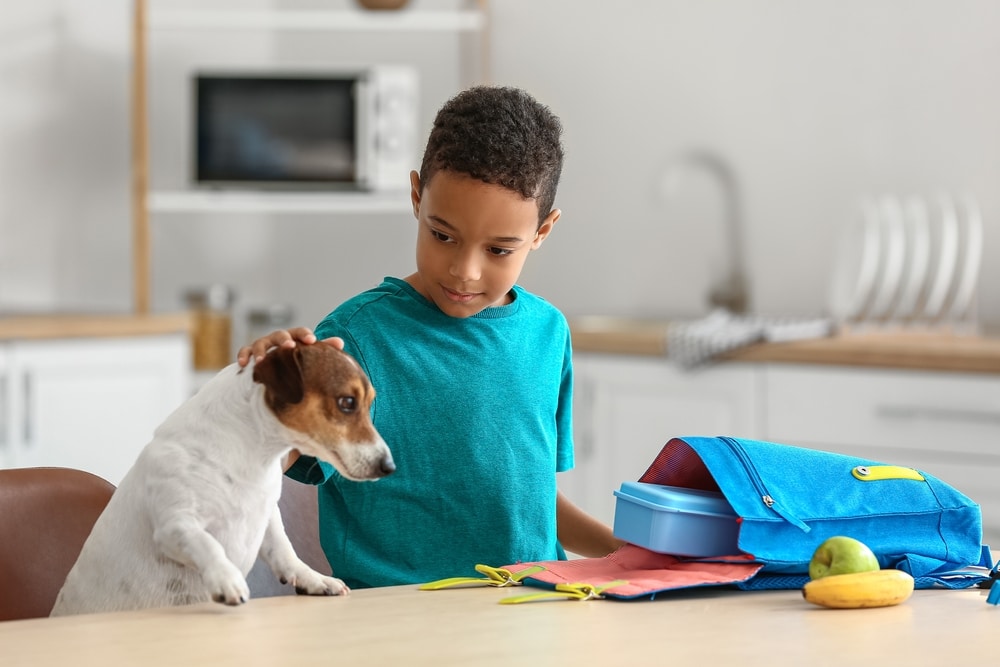 A young boy in a teal shirt pets a small white and brown dog at a kitchen table with a blue backpack, lunchbox, banana, and green apple in front of him. The kitchen is bright with dishes and a microwave in the background.