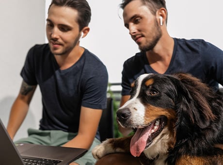 Two young men in navy shirts and wireless earbuds focus on a laptop, a happy Bernese Mountain Dog in the foreground, tongue out. They appear outdoors—perhaps exploring Telemedicine Services for Pets in Rockaway and Denville.